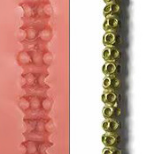swatch item