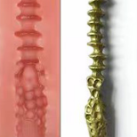 swatch item